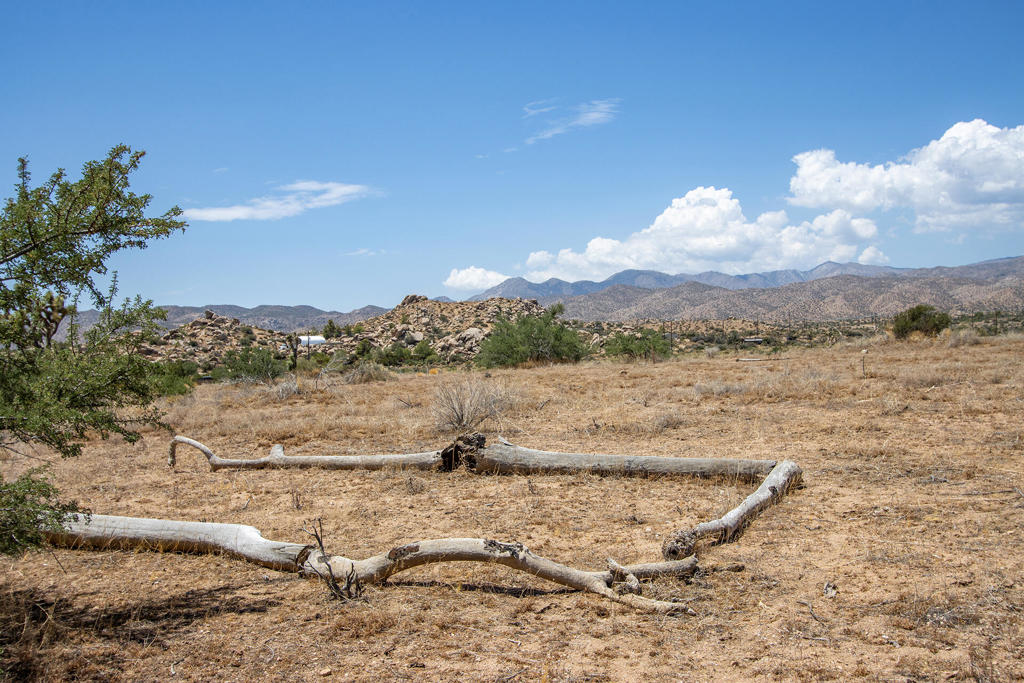 201 Pipes Canyon Rd, Pioneertown, CA 92268