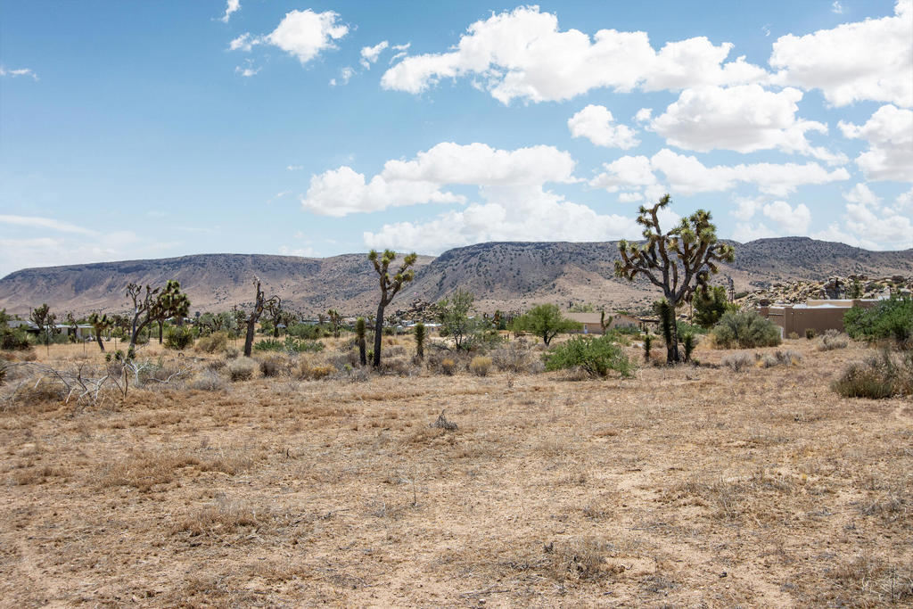 201 Pipes Canyon Rd, Pioneertown, CA 92268