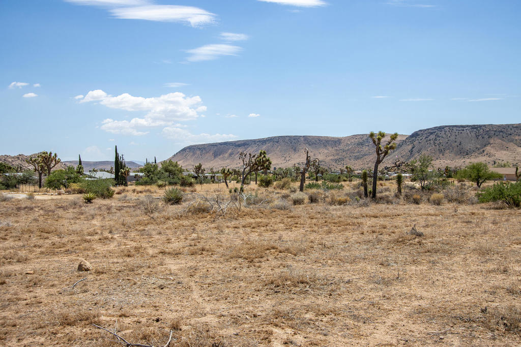 201 Pipes Canyon Rd, Pioneertown, CA 92268