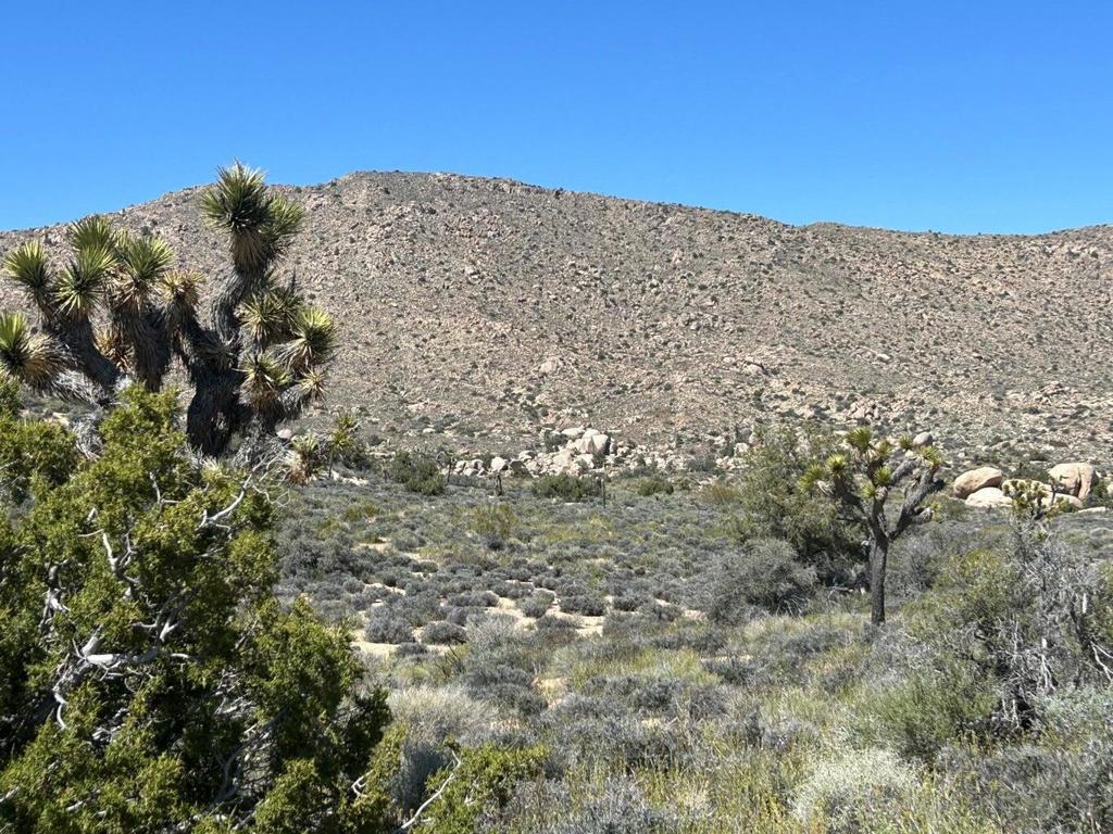 101 Hondo St, Pioneertown, CA 92268