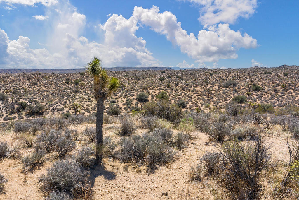 101 Hondo St, Pioneertown, CA 92268