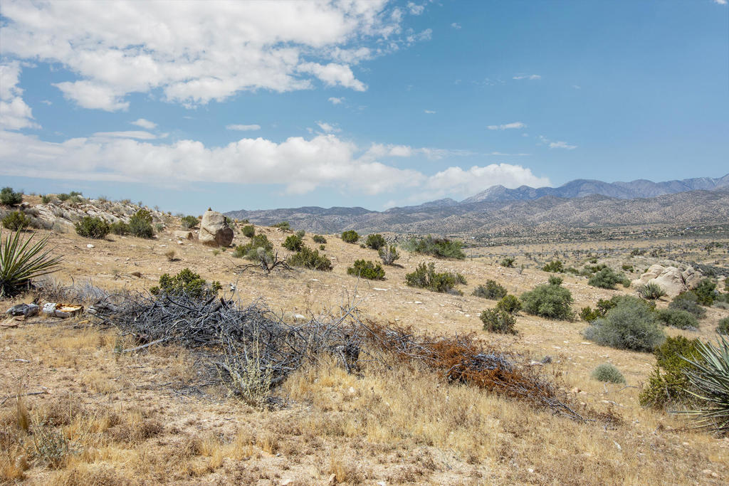 53102 Geronimo Trl, Pioneertown, CA 92268