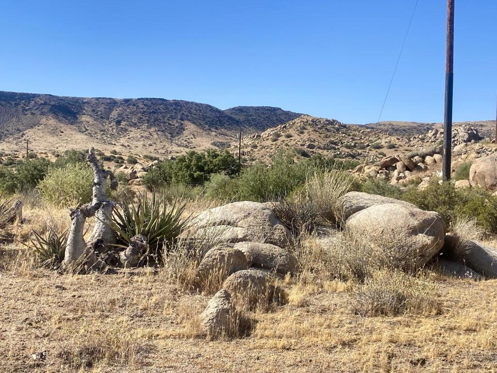 108 Riverside Dr, Pioneertown, CA 92268