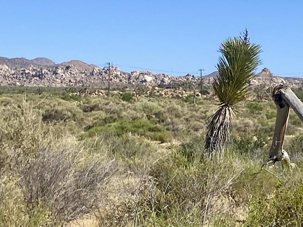 108 Riverside Dr, Pioneertown, CA 92268