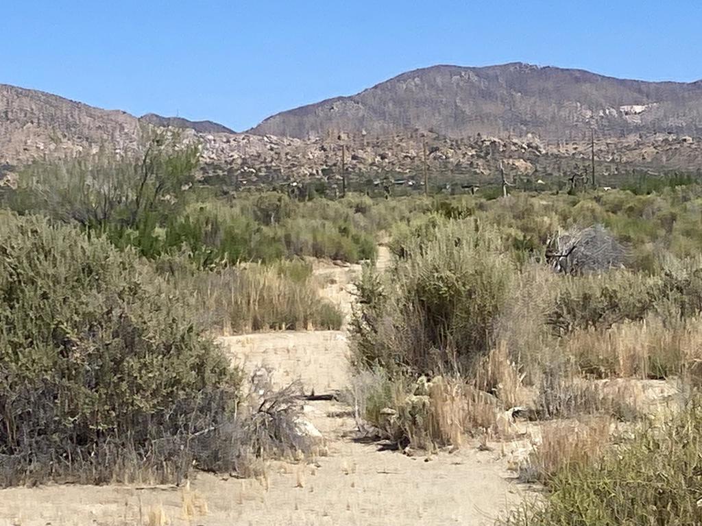 108 Riverside Dr, Pioneertown, CA 92268