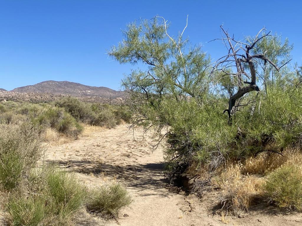 108 Riverside Dr, Pioneertown, CA 92268