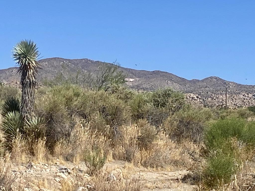 108 Riverside Dr, Pioneertown, CA 92268