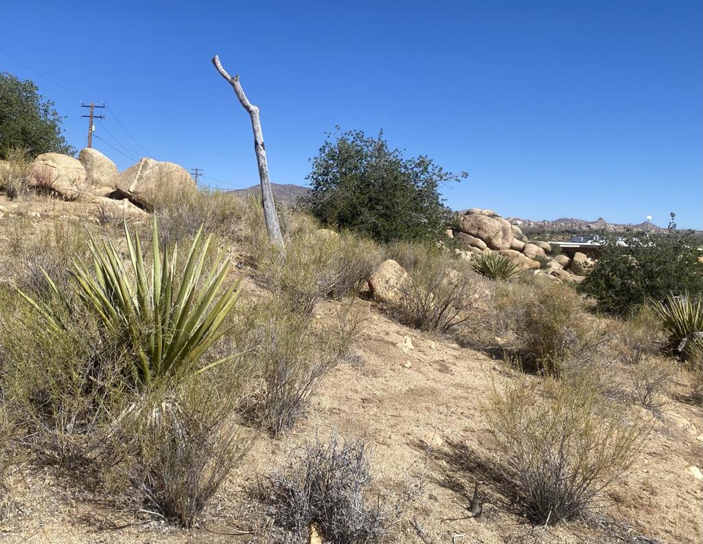 108 Riverside Dr, Pioneertown, CA 92268