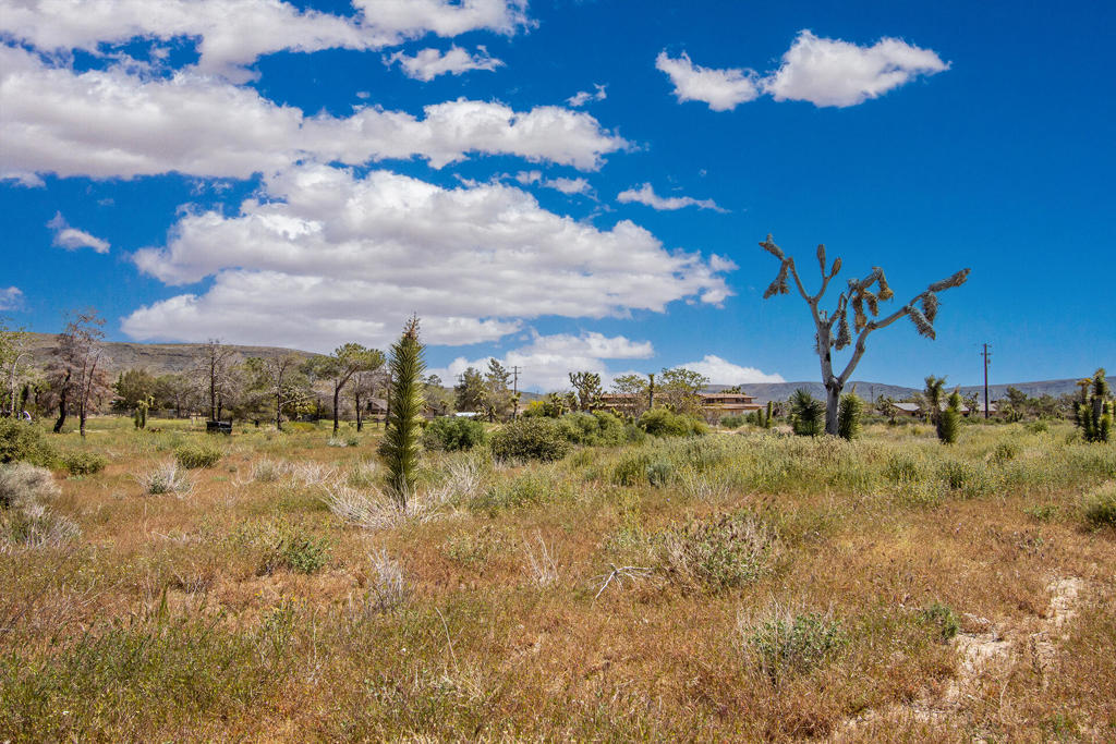 129 Annie Oakley, Pioneertown, CA 92268