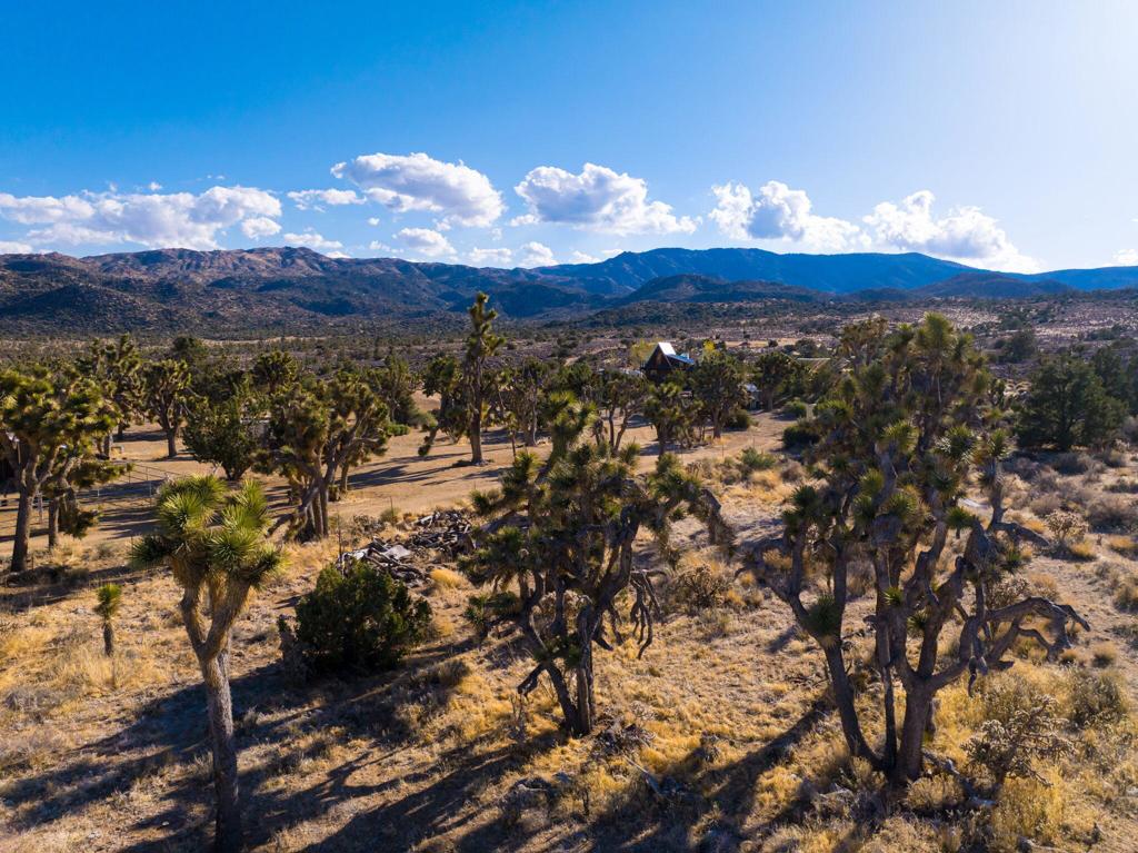 1102 Burlington Rd, Pioneertown, CA 92268