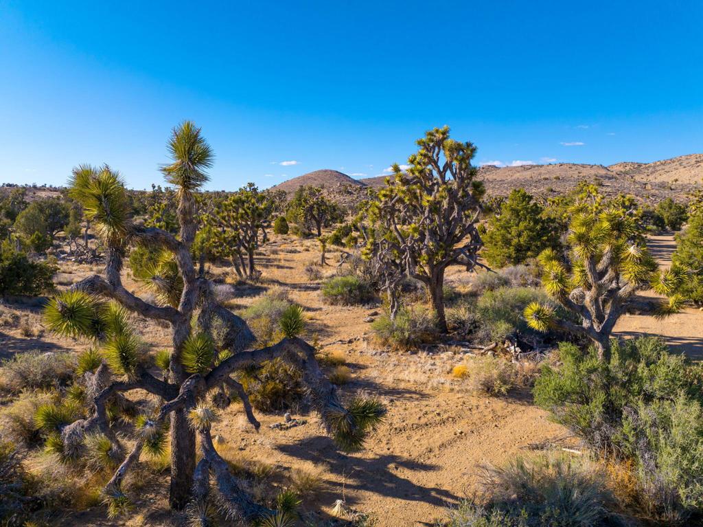 1102 Burlington Rd, Pioneertown, CA 92268