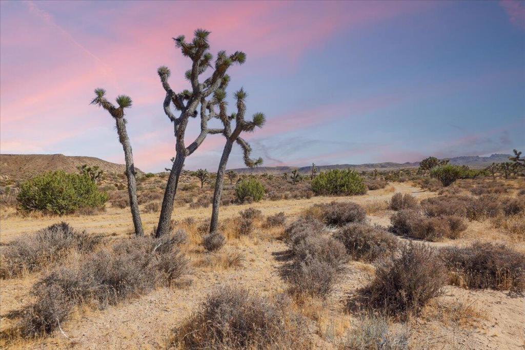 0 Gods Way Love Rd, Pioneertown, CA 92268