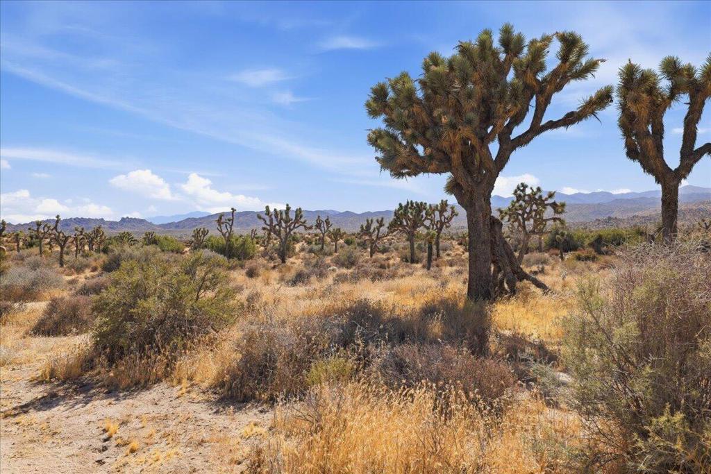 0 Gods Way Love Rd, Pioneertown, CA 92268