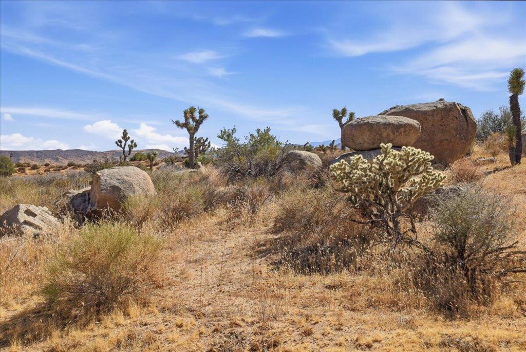 0 Gods Way Love Rd, Pioneertown, CA 92268