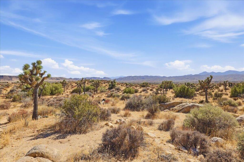 0 Gods Way Love Rd, Pioneertown, CA 92268
