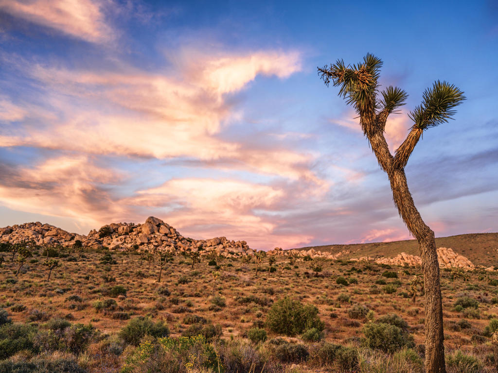 0 Gods Way Love Rd, Pioneertown, CA 92268