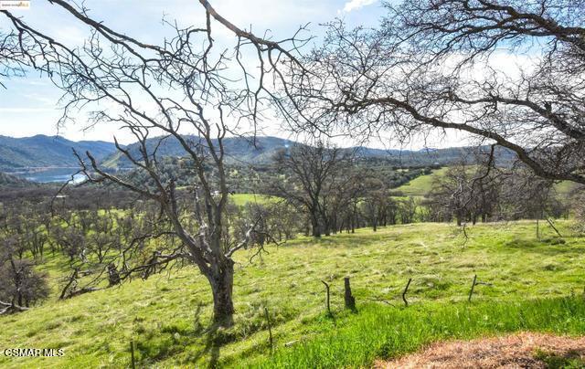 13300 Lone Bend Rd, Jamestown, CA 95327