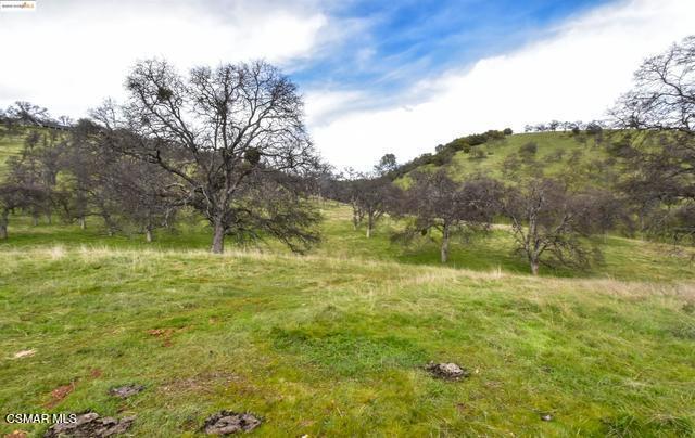 13300 Lone Bend Rd, Jamestown, CA 95327