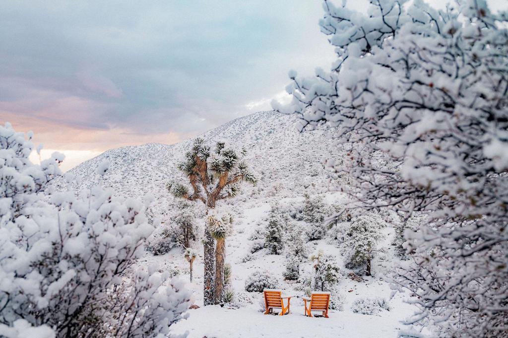 48311 Burns Canyon Rd, Pioneertown, CA 92268