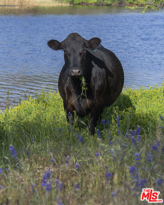 41924 Patrick Ave, Coarsegold, CA 93614