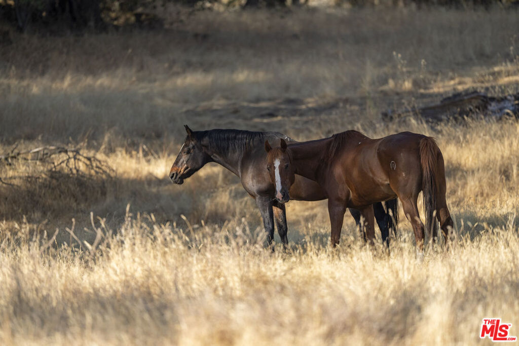 41924 Patrick Ave, Coarsegold, CA 93614