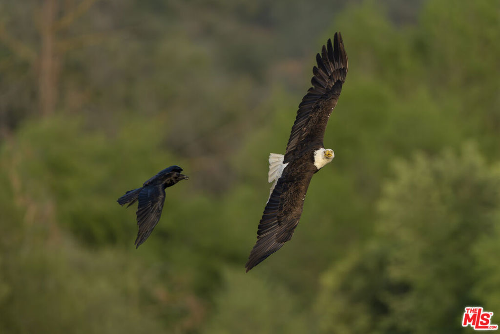 41924 Patrick Ave, Coarsegold, CA 93614