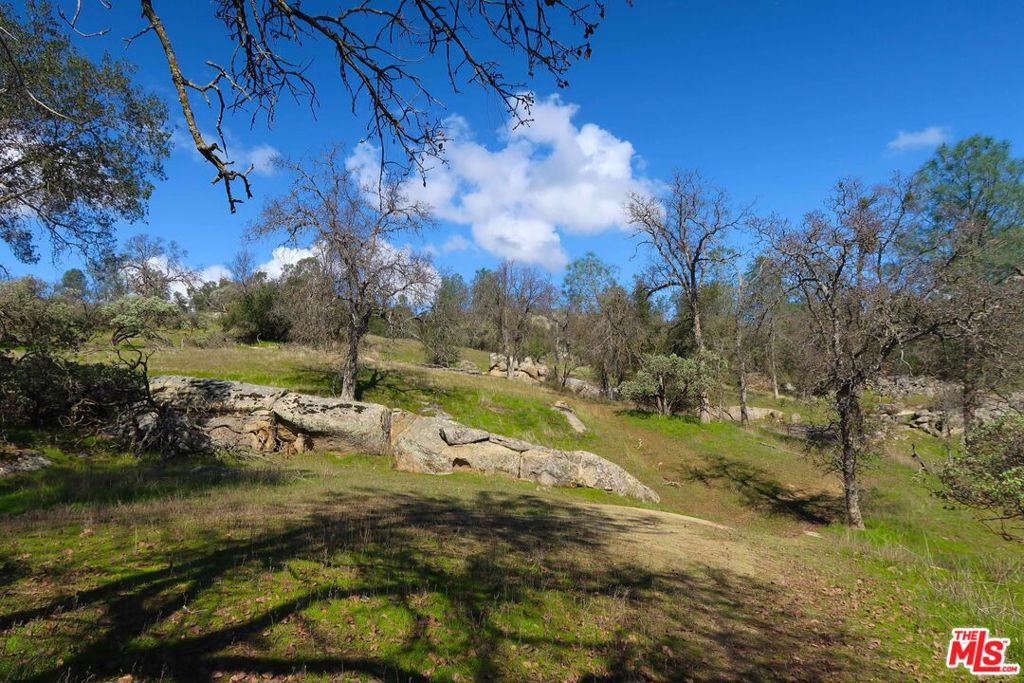 41924 Patrick Ave, Coarsegold, CA 93614