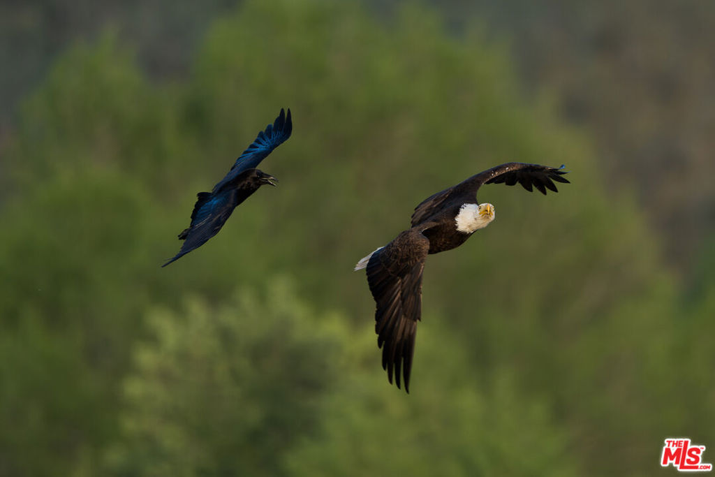 3 Blackhawk Drive, Coarsegold, CA 93614