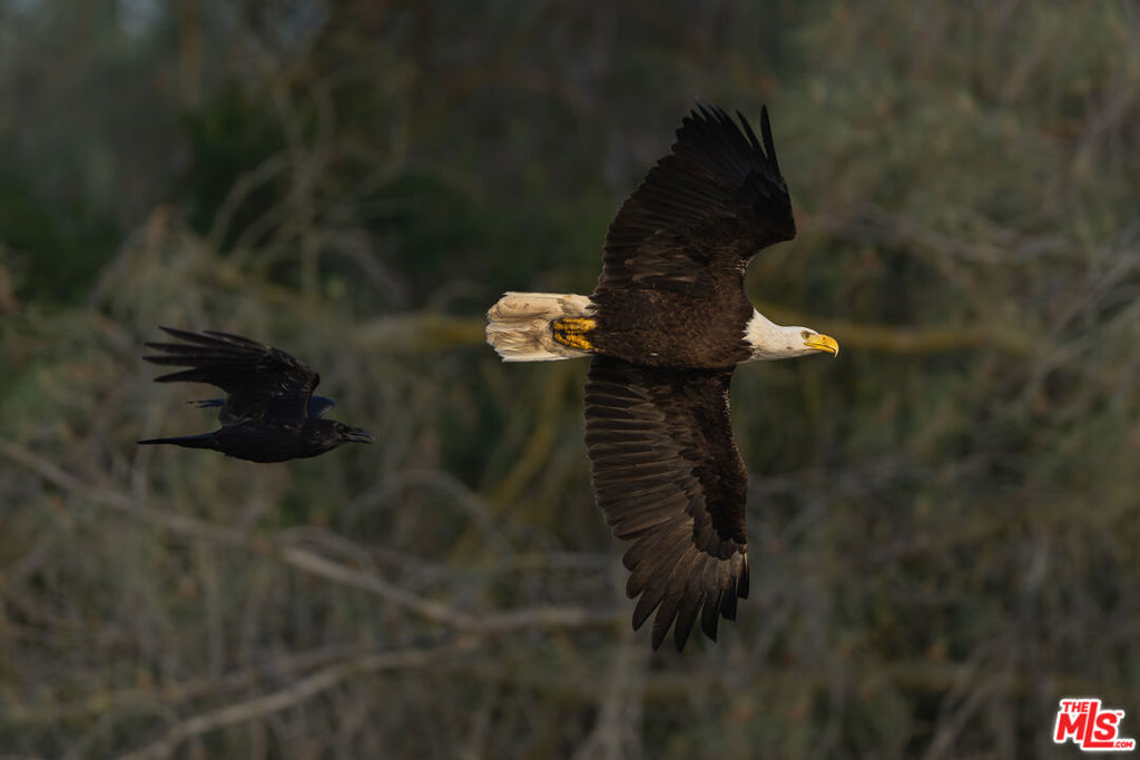 3 Blackhawk Drive, Coarsegold, CA 93614