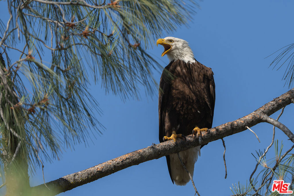 3 Blackhawk Drive, Coarsegold, CA 93614