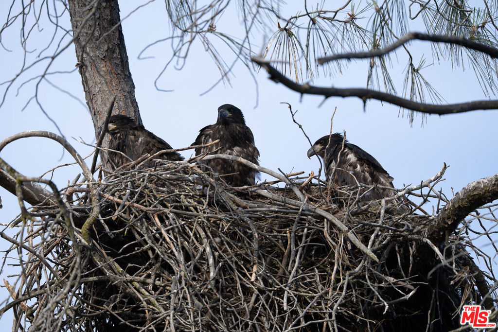 3 Blackhawk Drive, Coarsegold, CA 93614