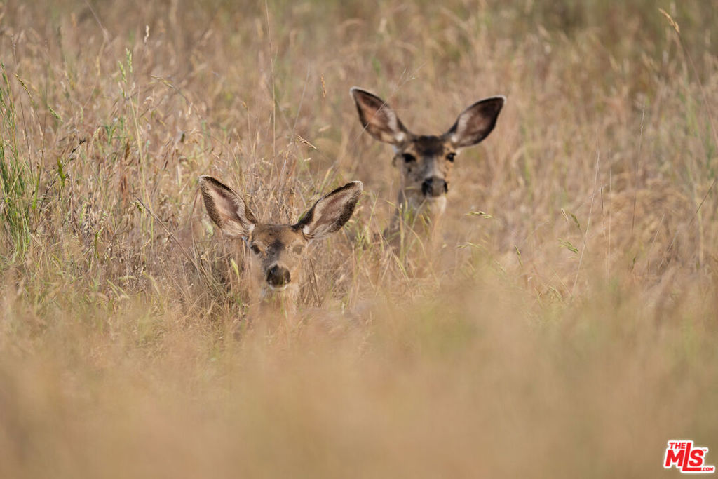 3 Blackhawk Drive, Coarsegold, CA 93614