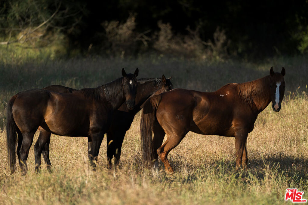 3 Blackhawk Drive, Coarsegold, CA 93614