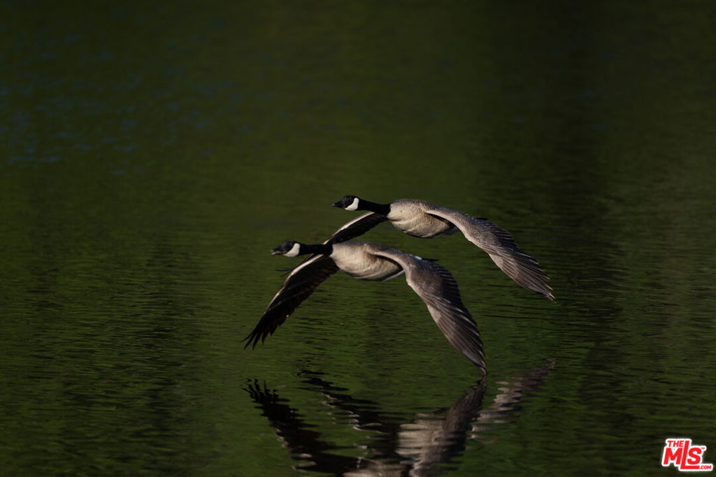 3 Blackhawk Drive, Coarsegold, CA 93614