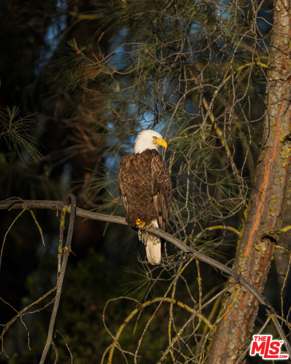 1758 Long Hollow Ln, Coarsegold, CA 93614