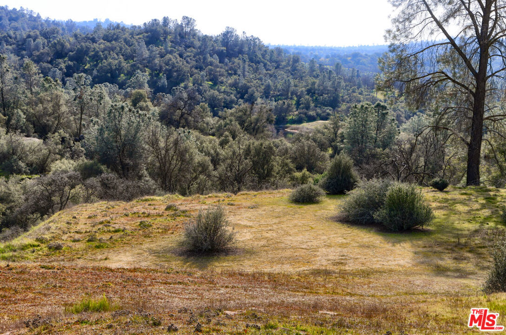1758 Long Hollow Ln, Coarsegold, CA 93614