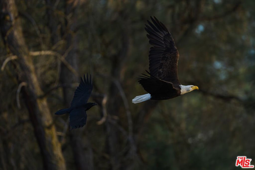 1758 Long Hollow Ln, Coarsegold, CA 93614