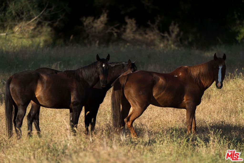 1758 Long Hollow Ln, Coarsegold, CA 93614