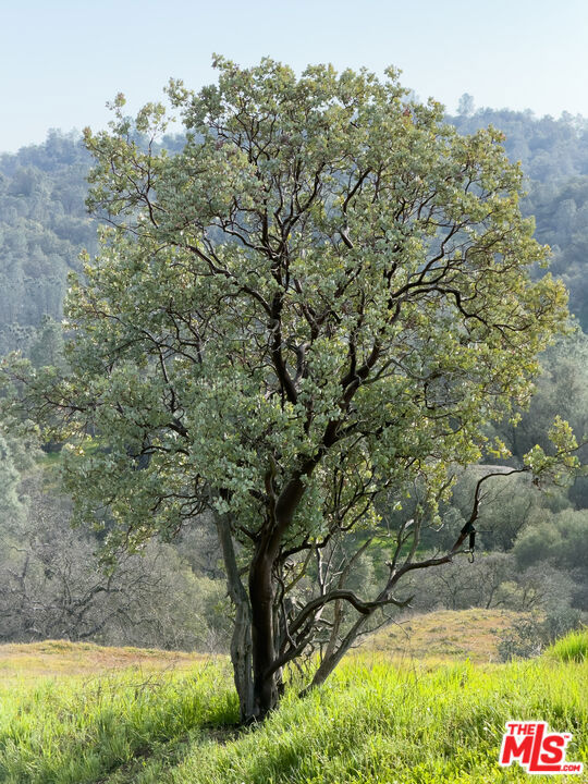 1758 Long Hollow Ln, Coarsegold, CA 93614