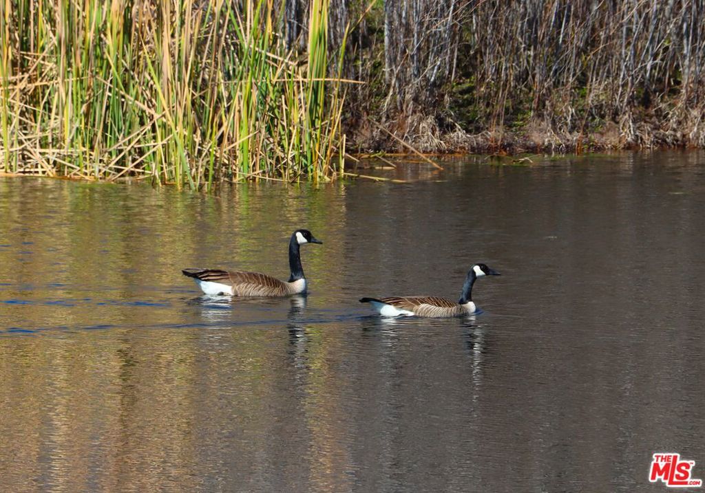 41924 Patrick Avenue #TPN#4337/1, Coarsegold, CA 93614