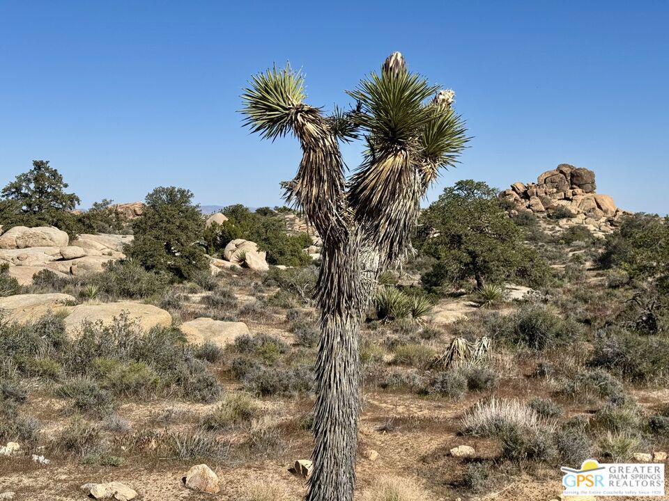 900 Parsons Ranch Rd, Pioneertown, CA 92268