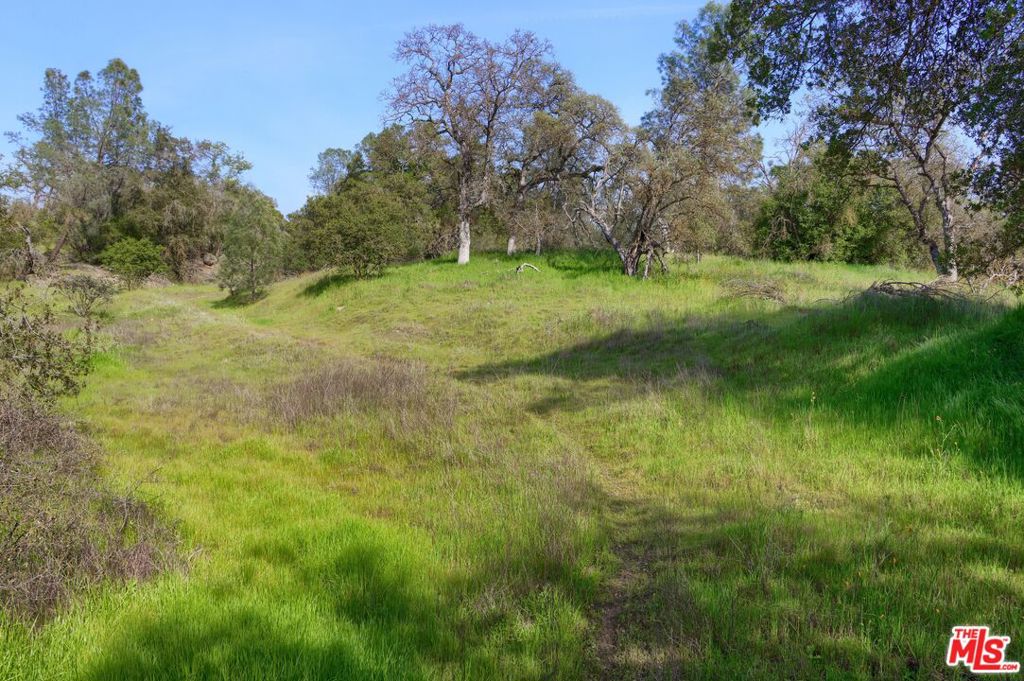 41924 Patrick Ave, Coarsegold, CA 93614