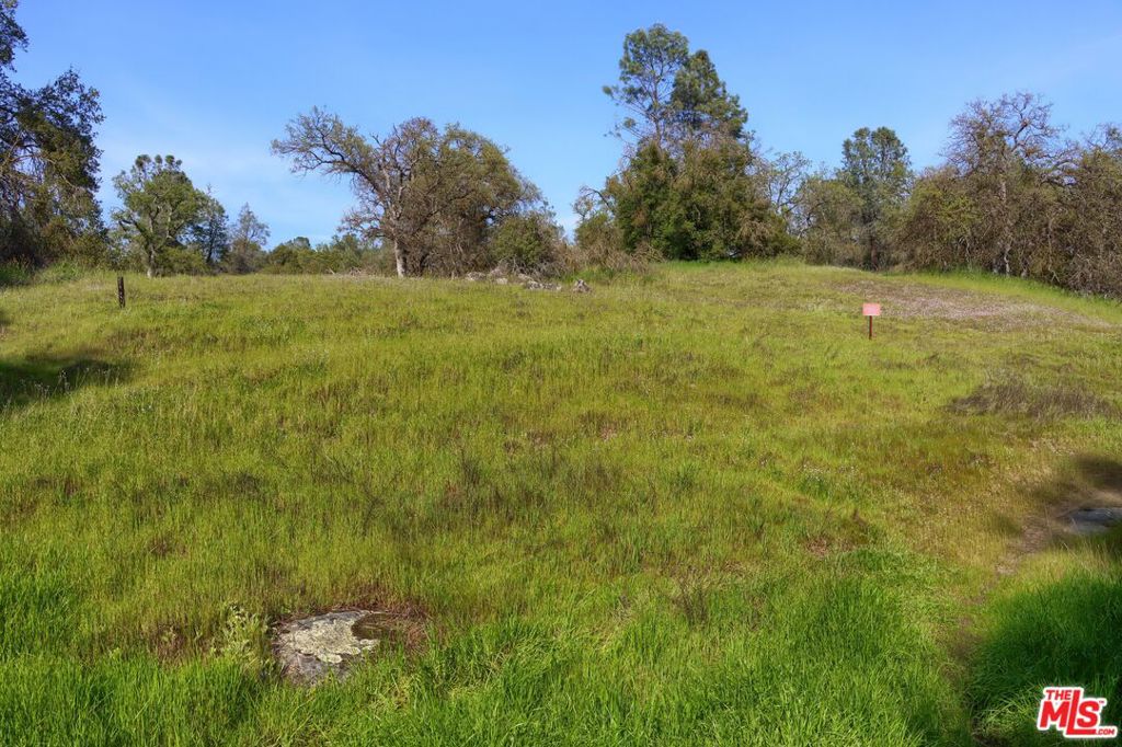 41924 Patrick Ave, Coarsegold, CA 93614