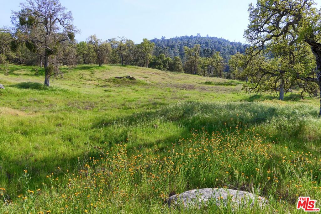 41924 Patrick Ave, Coarsegold, CA 93614