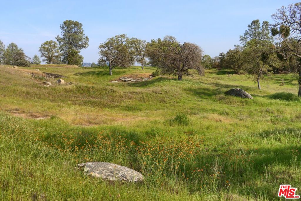 41924 Patrick Ave, Coarsegold, CA 93614