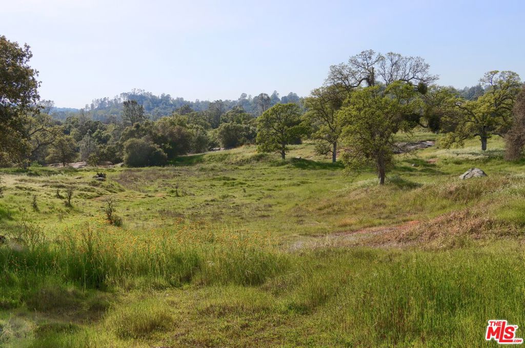 41924 Patrick Ave, Coarsegold, CA 93614