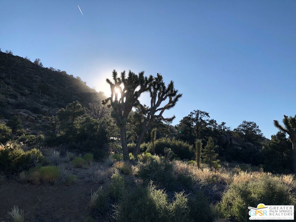 1430 Orion, Pioneertown, CA 92268