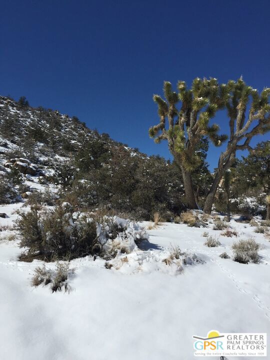 1430 Orion, Pioneertown, CA 92268