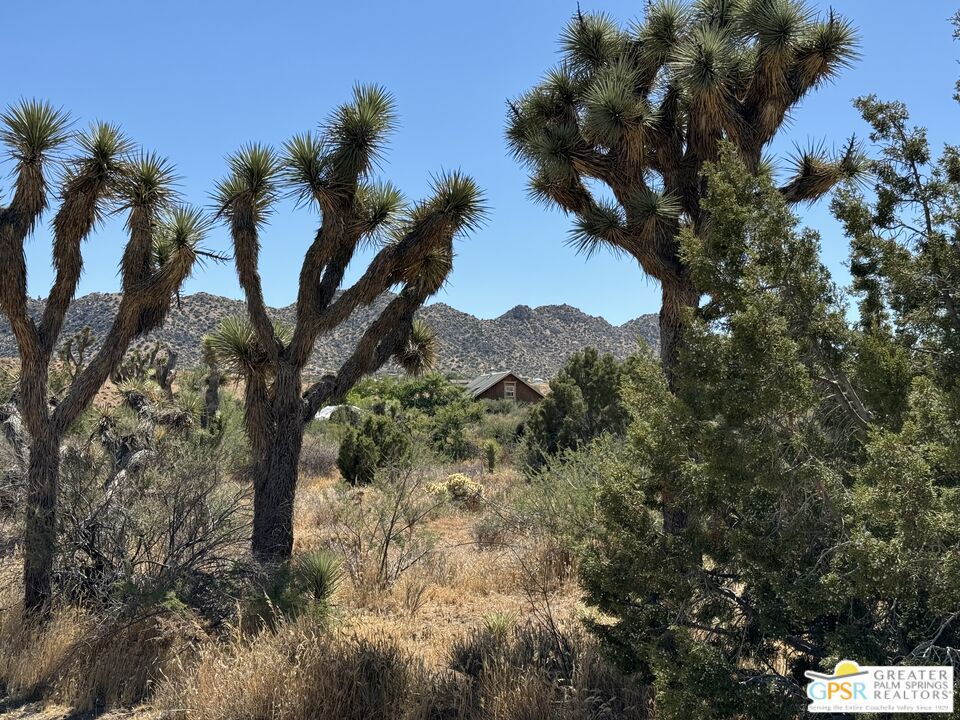 53408 Stud Valley Rd, Pioneertown, CA 92268