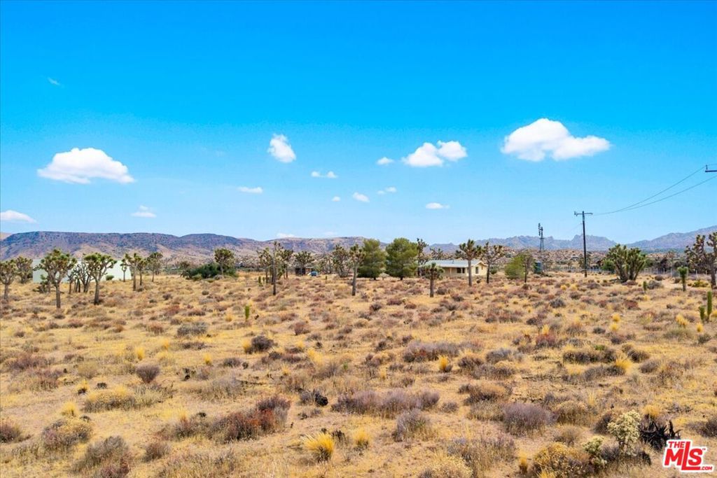 Open Photo